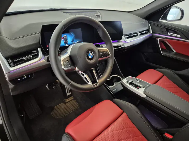 BMW X2 usata a Torino (7)