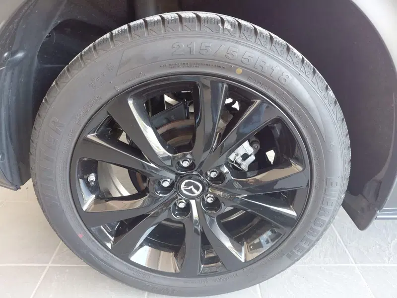 Mazda CX-30 usata  (20)