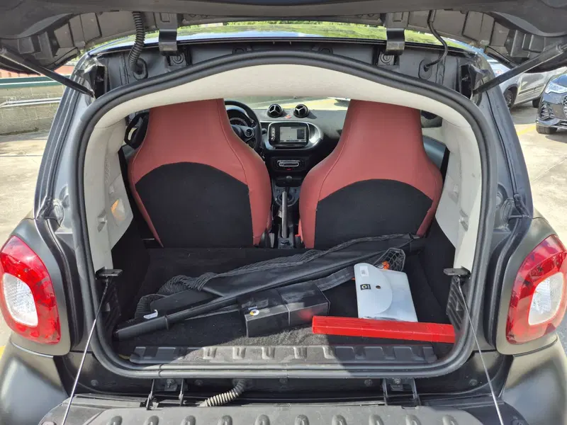 smart Fortwo usata  (11)