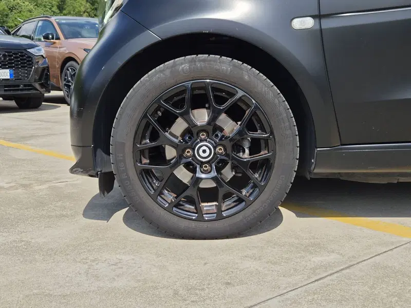 smart Fortwo usata  (12)