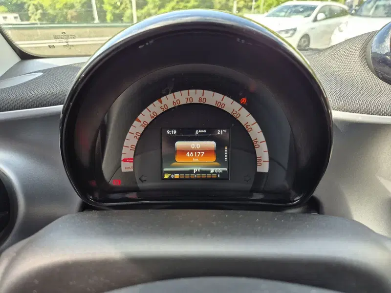 smart Fortwo usata  (13)