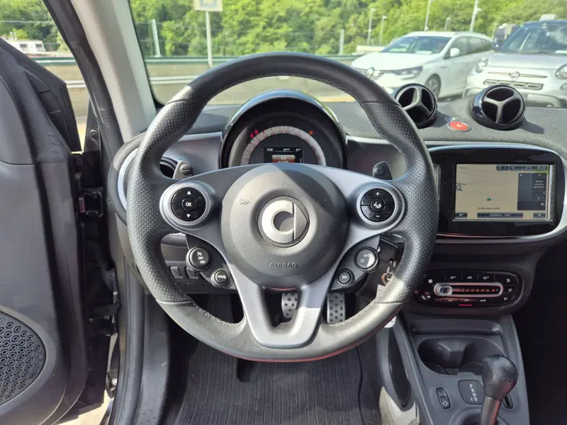 smart Fortwo usata  (15)