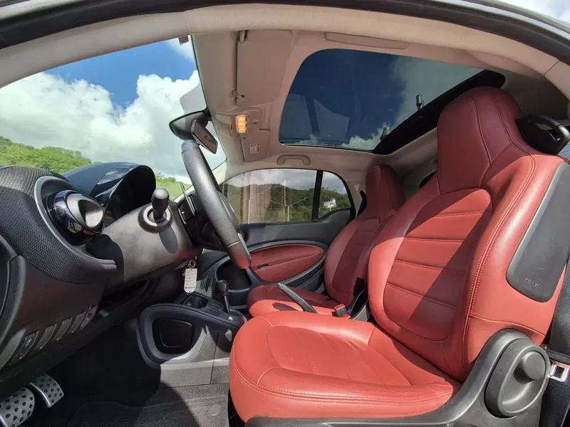 smart Fortwo usata  (16)