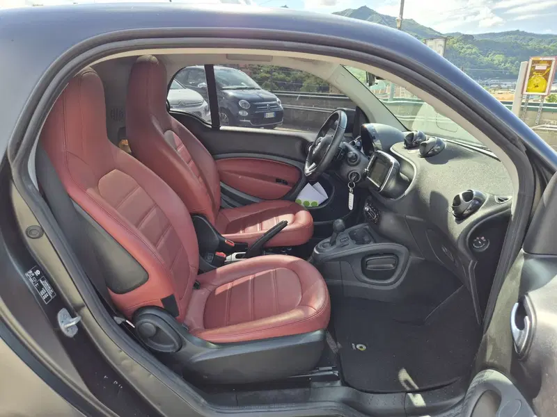 smart Fortwo usata  (8)