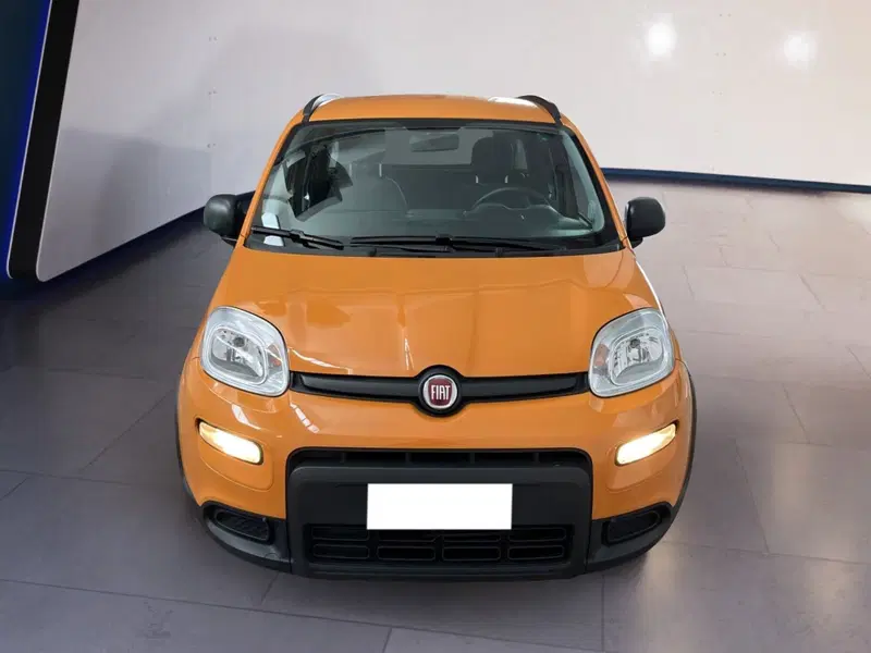Fiat Panda usata a Torino