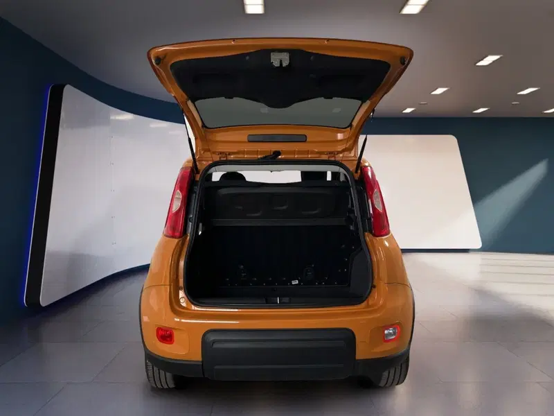 Fiat Panda usata a Torino (7)