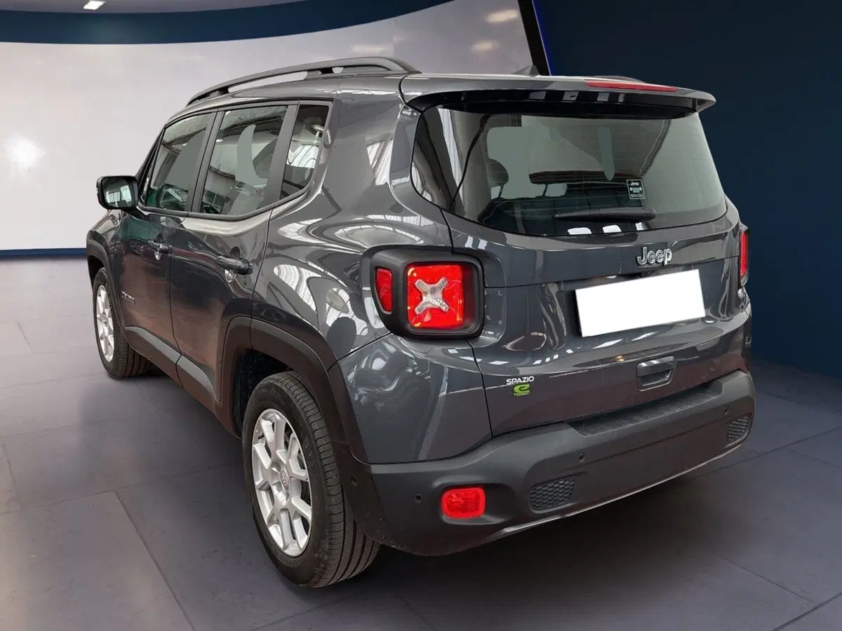 Jeep Renegade usata a Torino (4)