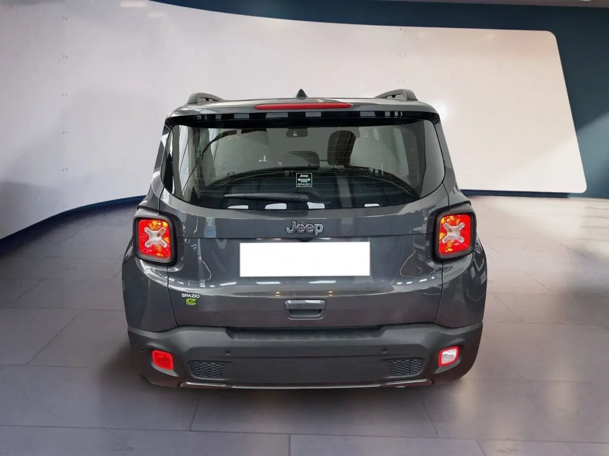Jeep Renegade usata a Torino (5)