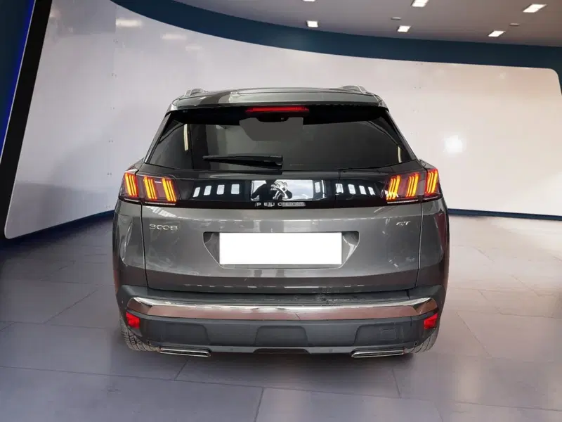 Peugeot 3008 usata a Torino (5)