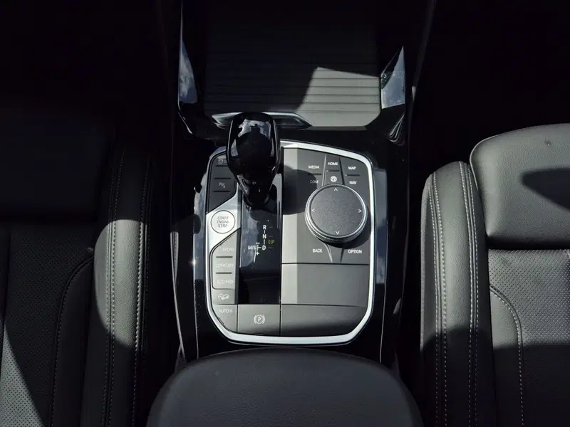 BMW X4 usata  (11)