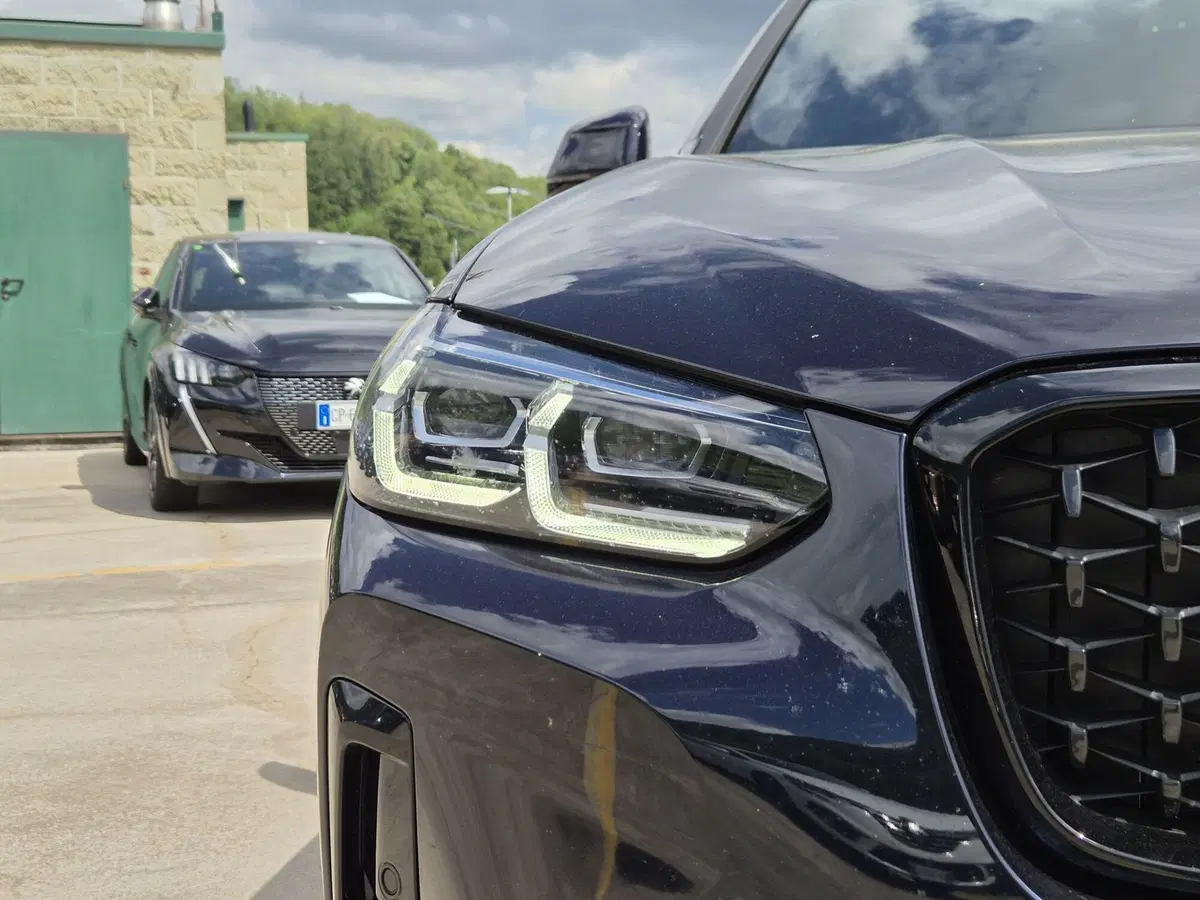 BMW X4 usata  (18)