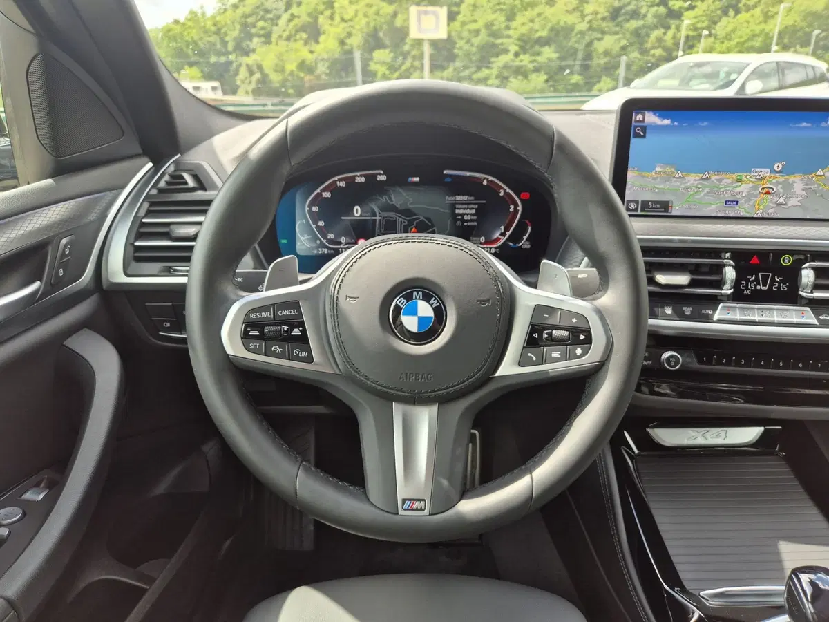 BMW X4 usata  (19)