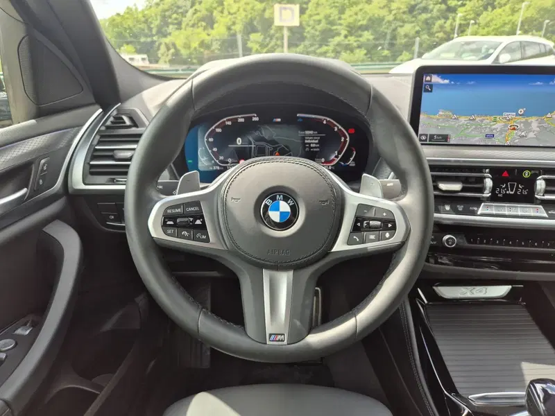 BMW X4 usata  (19)