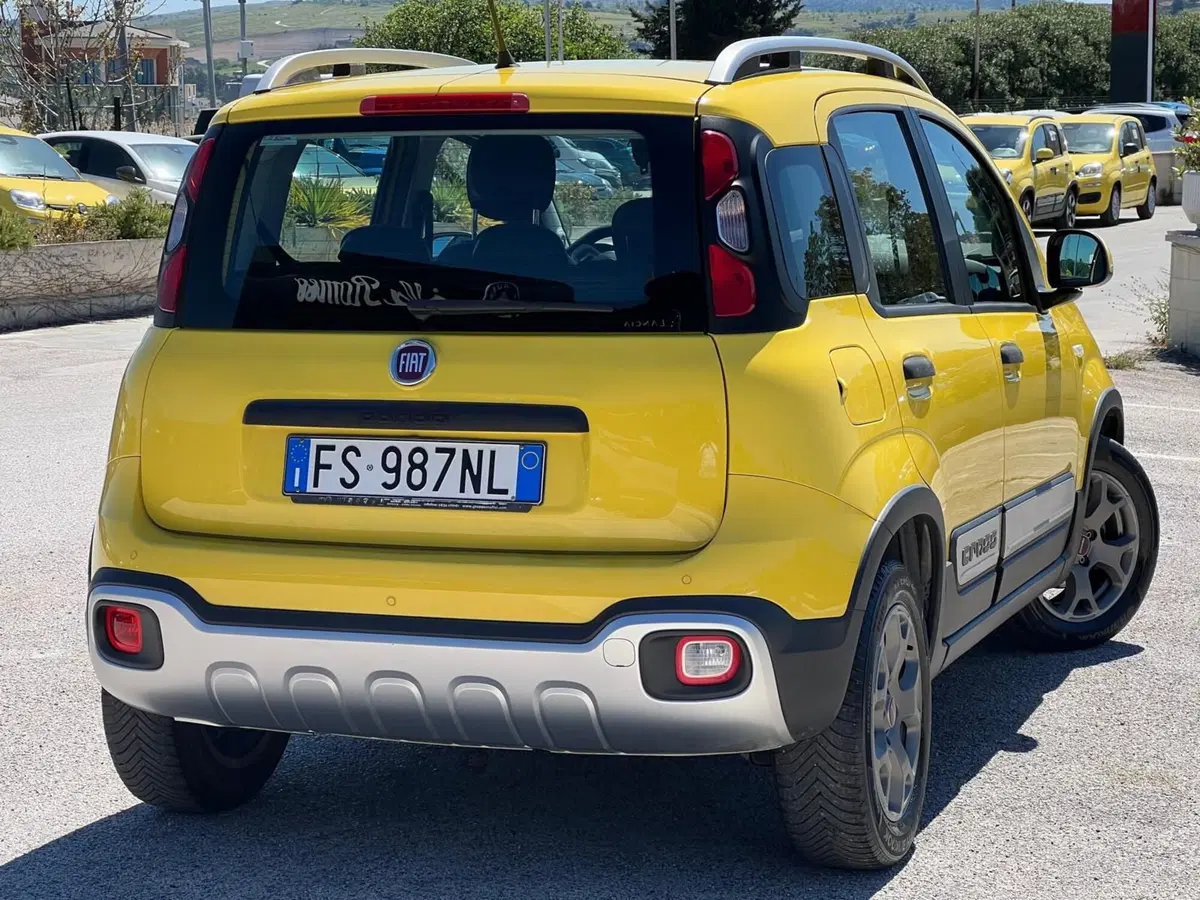 Fiat Panda usata a Matera (15)