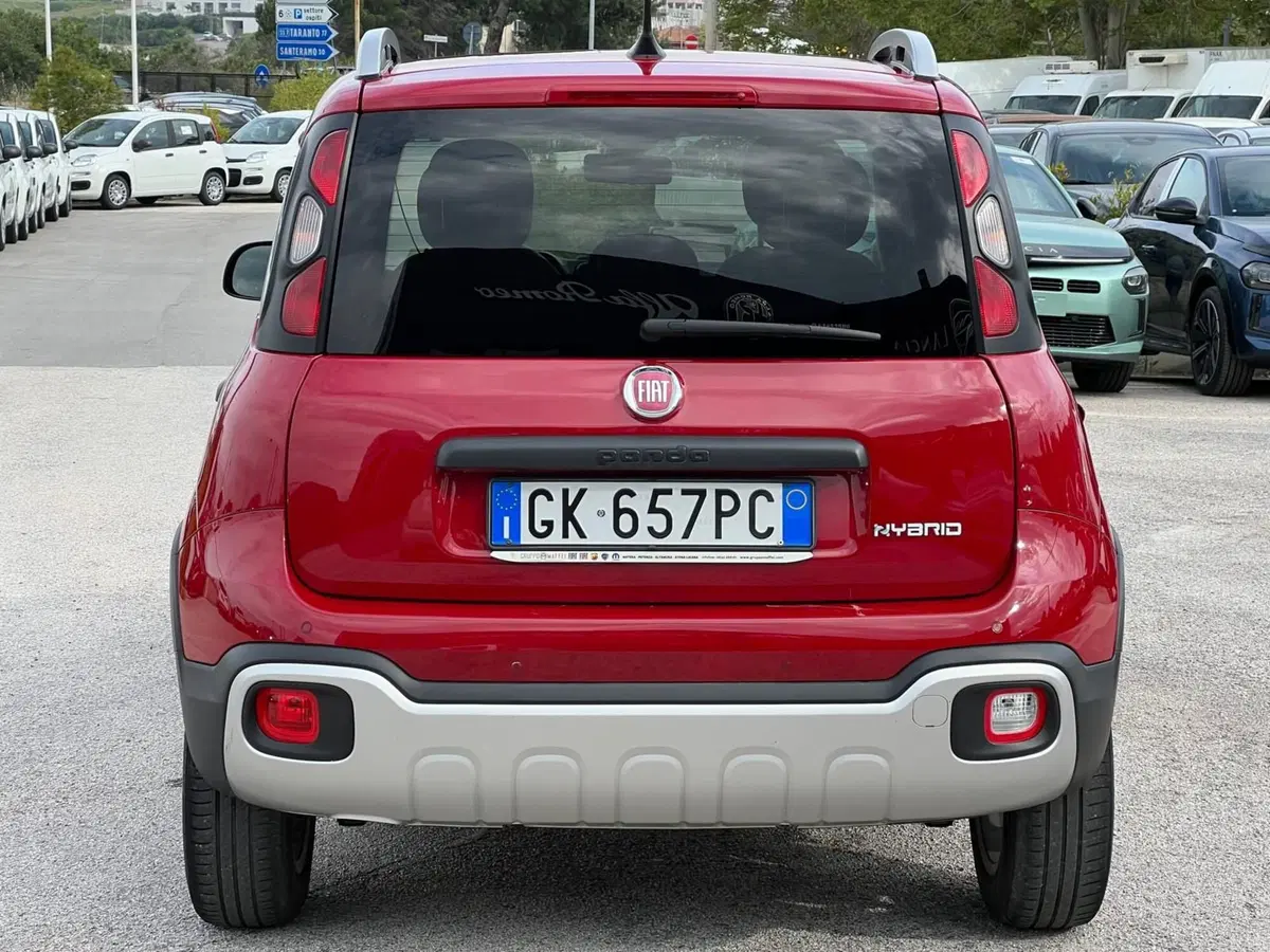 Fiat Panda Cross usata a Matera (10)