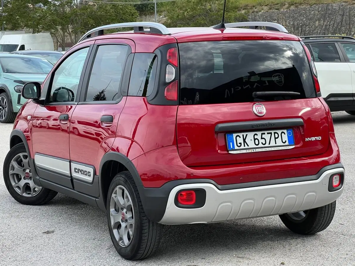 Fiat Panda Cross usata a Matera (11)