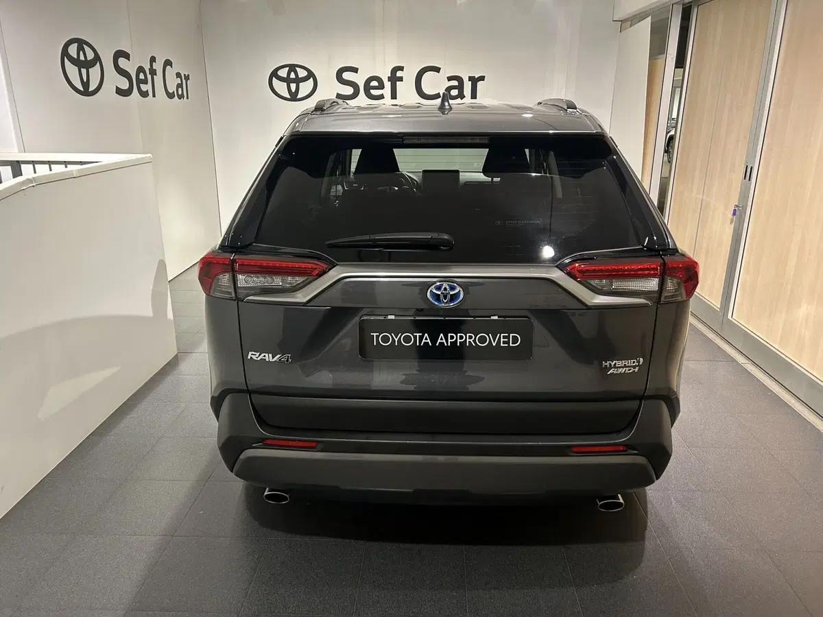 Toyota Rav4 usata a Milano (4)