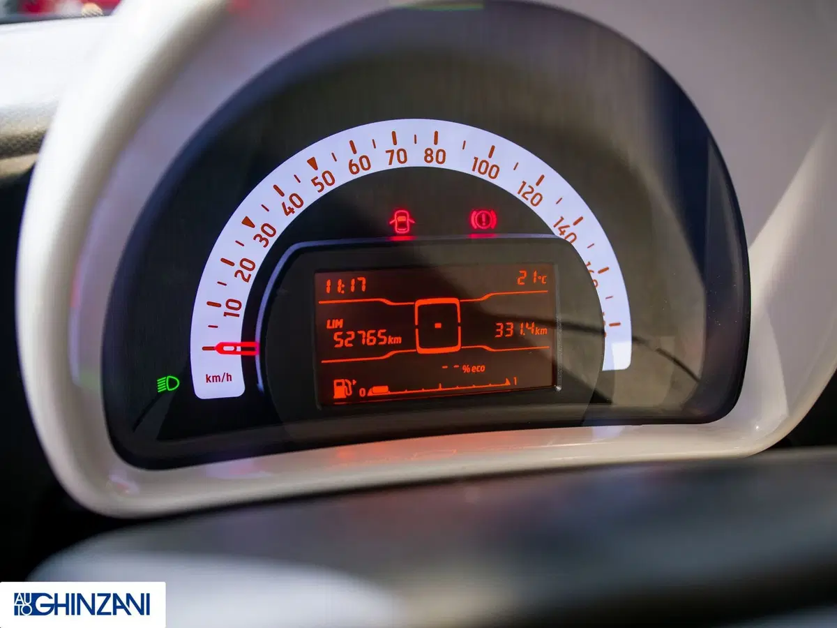 smart forfour usata a Bergamo (13)