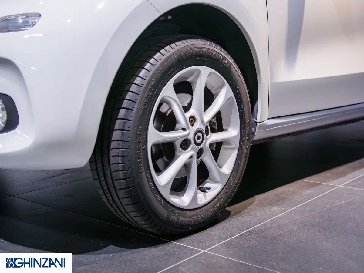 smart forfour usata a Bergamo (8)