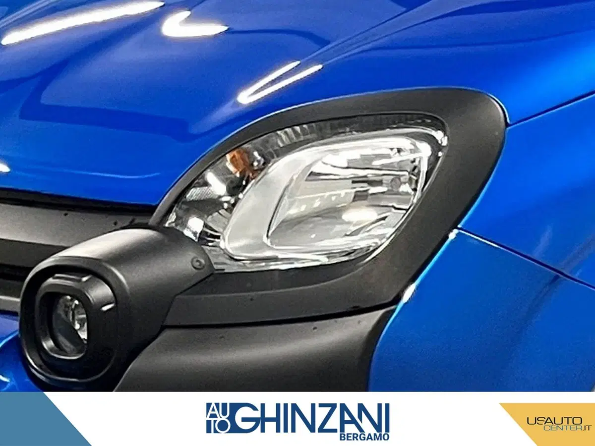Fiat Panda Cross usata a Bergamo (14)