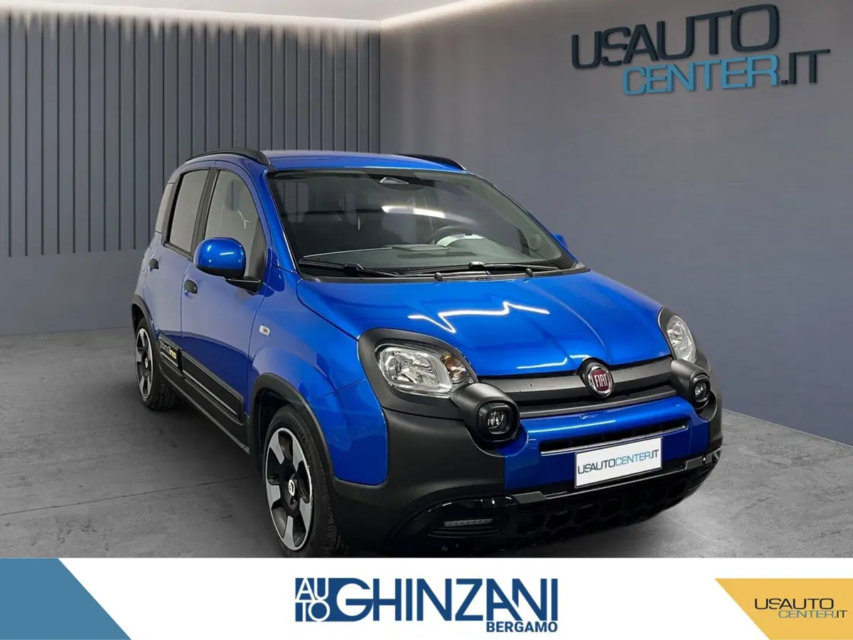 Fiat Panda Cross usata a Bergamo (2)