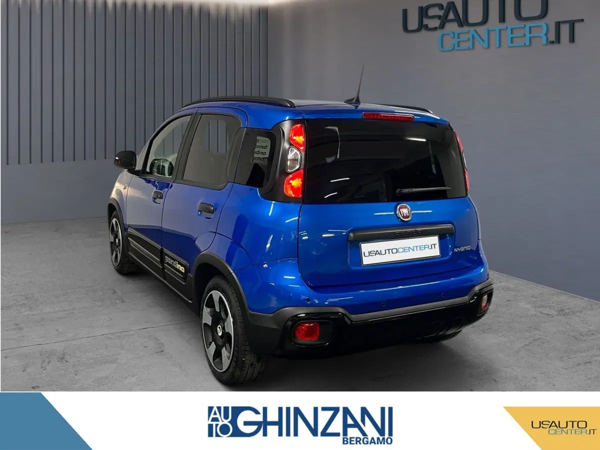 Fiat Panda Cross usata a Bergamo (3)