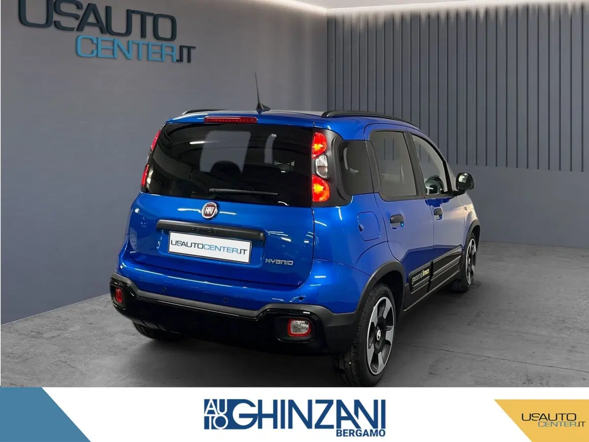 Fiat Panda Cross usata a Bergamo (5)