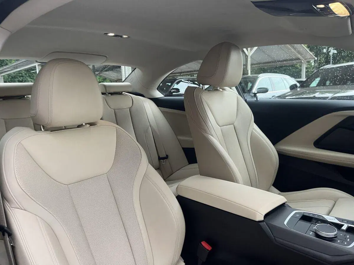 BMW Serie 2 Coupé usata a Alessandria (11)