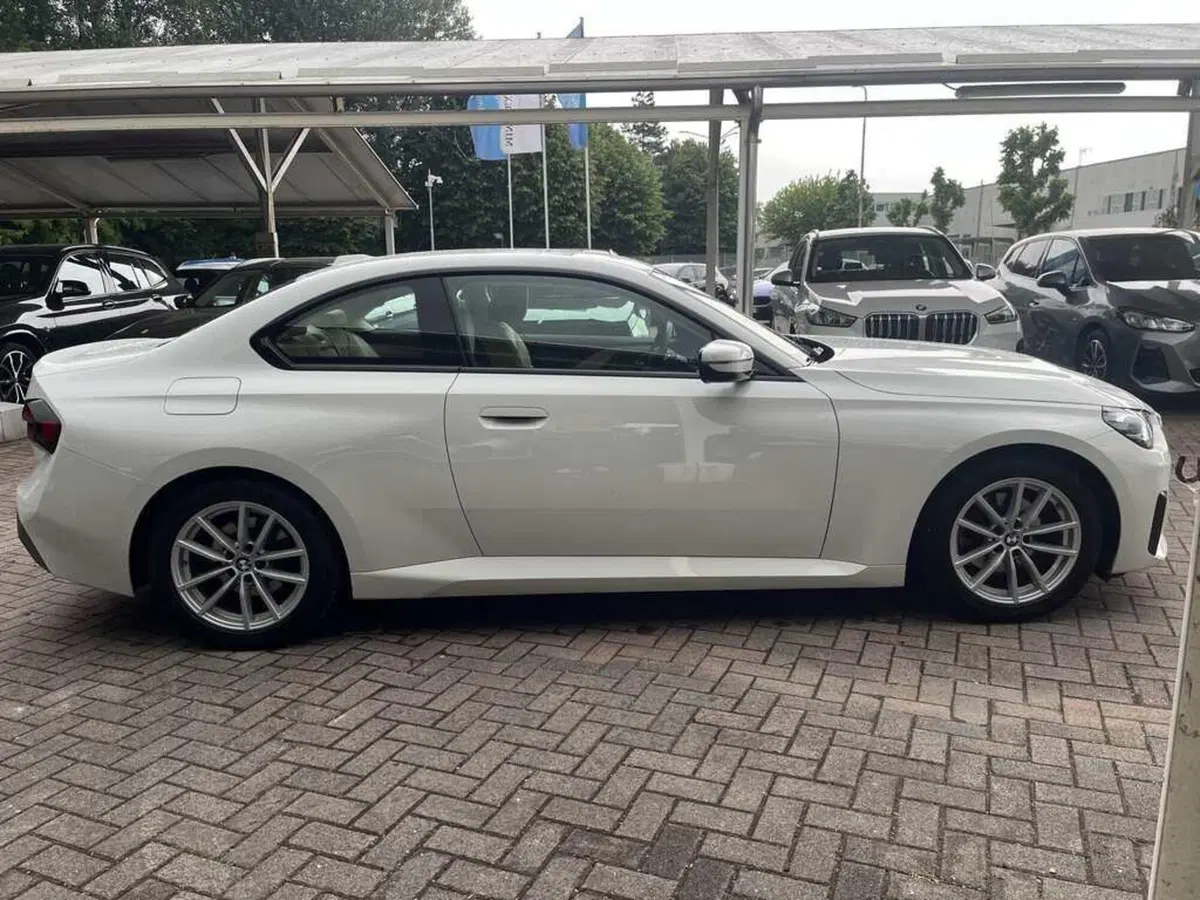 BMW Serie 2 Coupé usata a Alessandria (4)