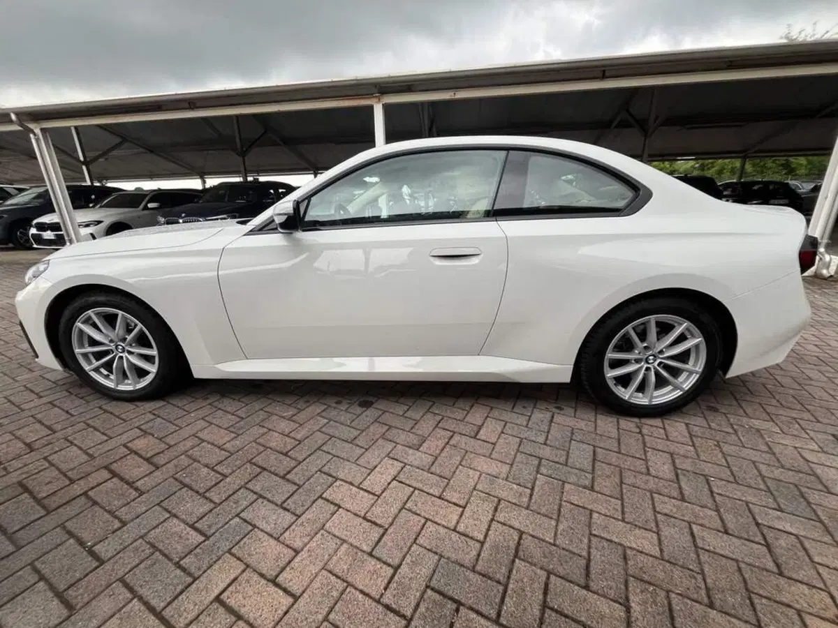 BMW Serie 2 Coupé usata a Alessandria (5)