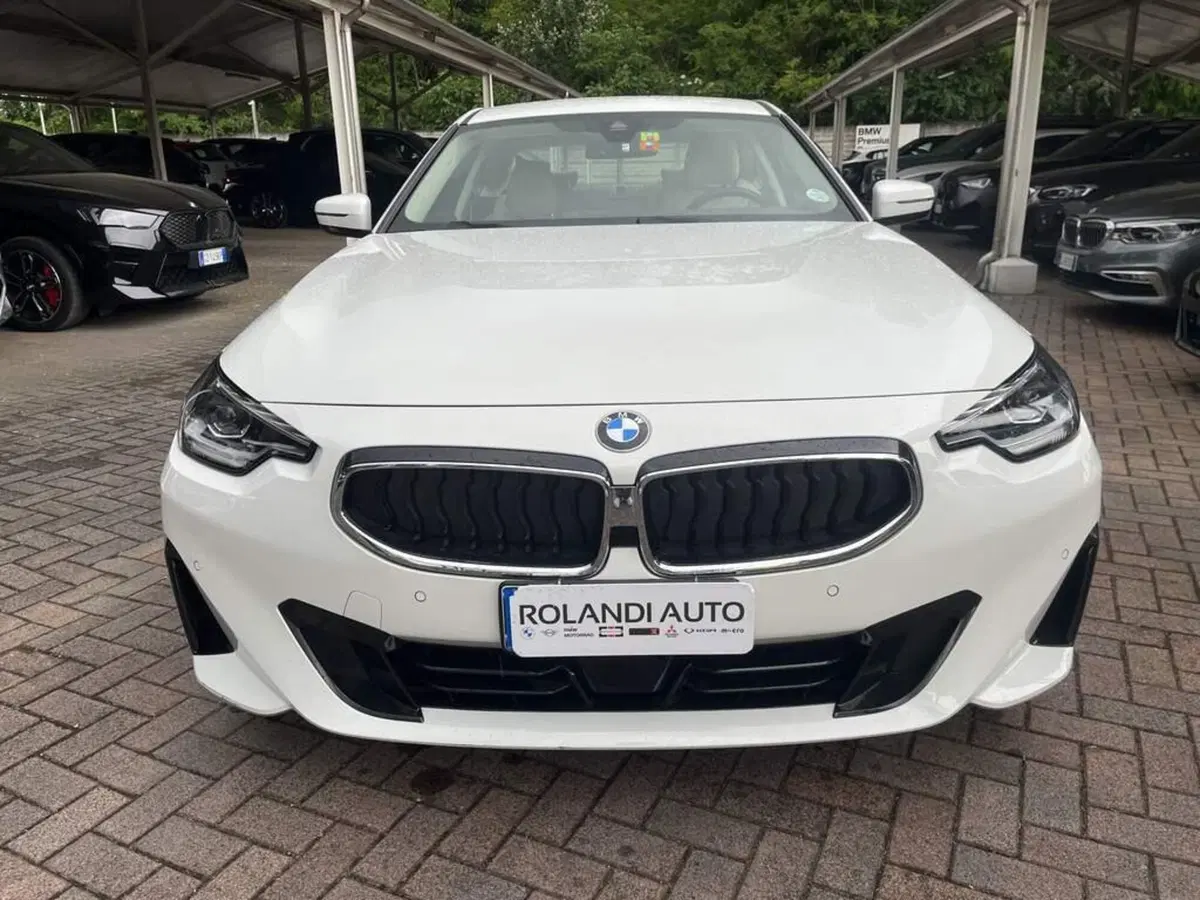 BMW Serie 2 Coupé usata a Alessandria (6)
