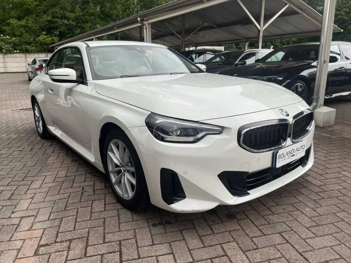 BMW Serie 2 Coupé usata a Alessandria (8)