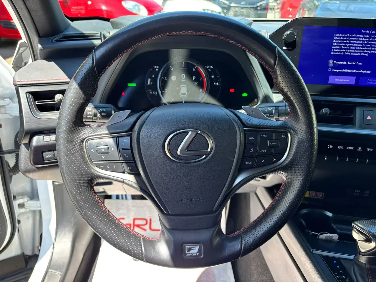 Lexus UX usata a Modena (10)