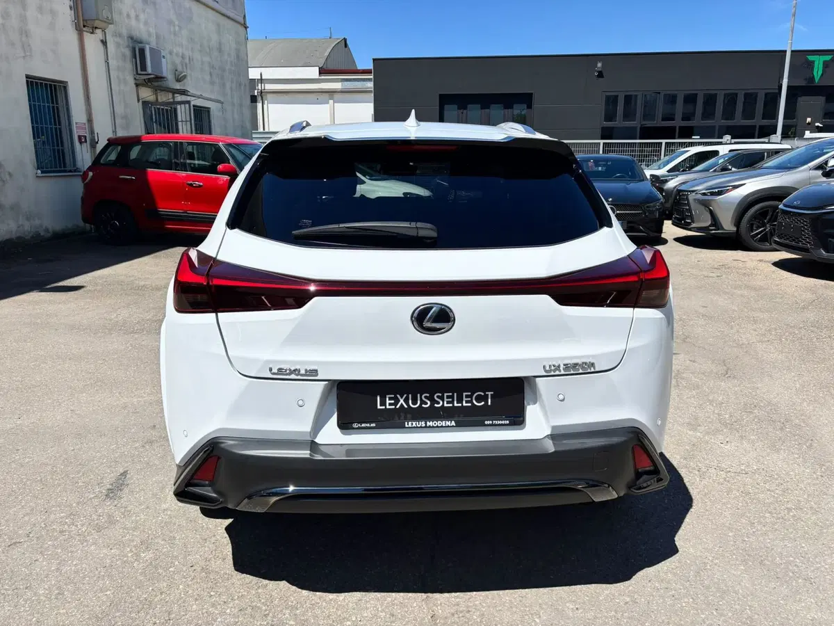Lexus UX usata a Modena (6)