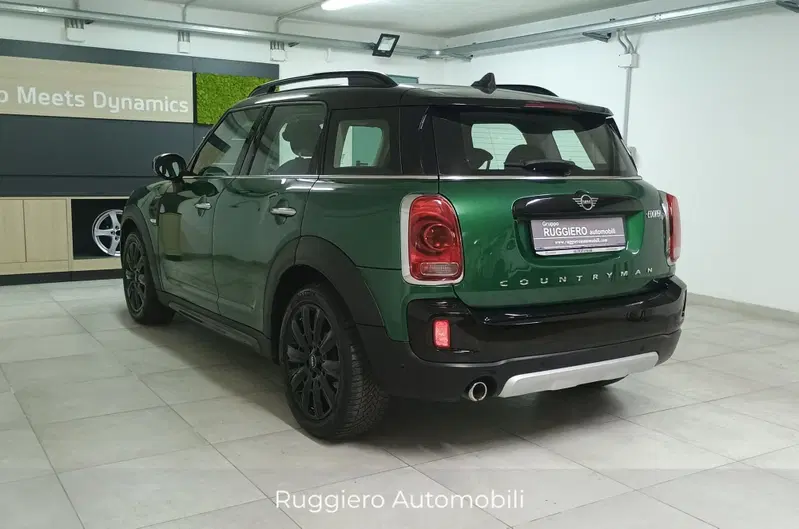 MINI Mini Countryman usata a Catanzaro (6)
