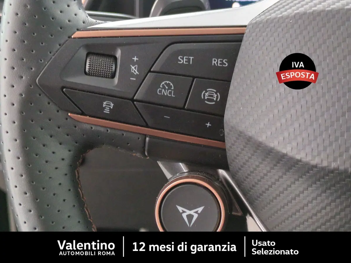 Cupra Formentor usata a Roma (16)