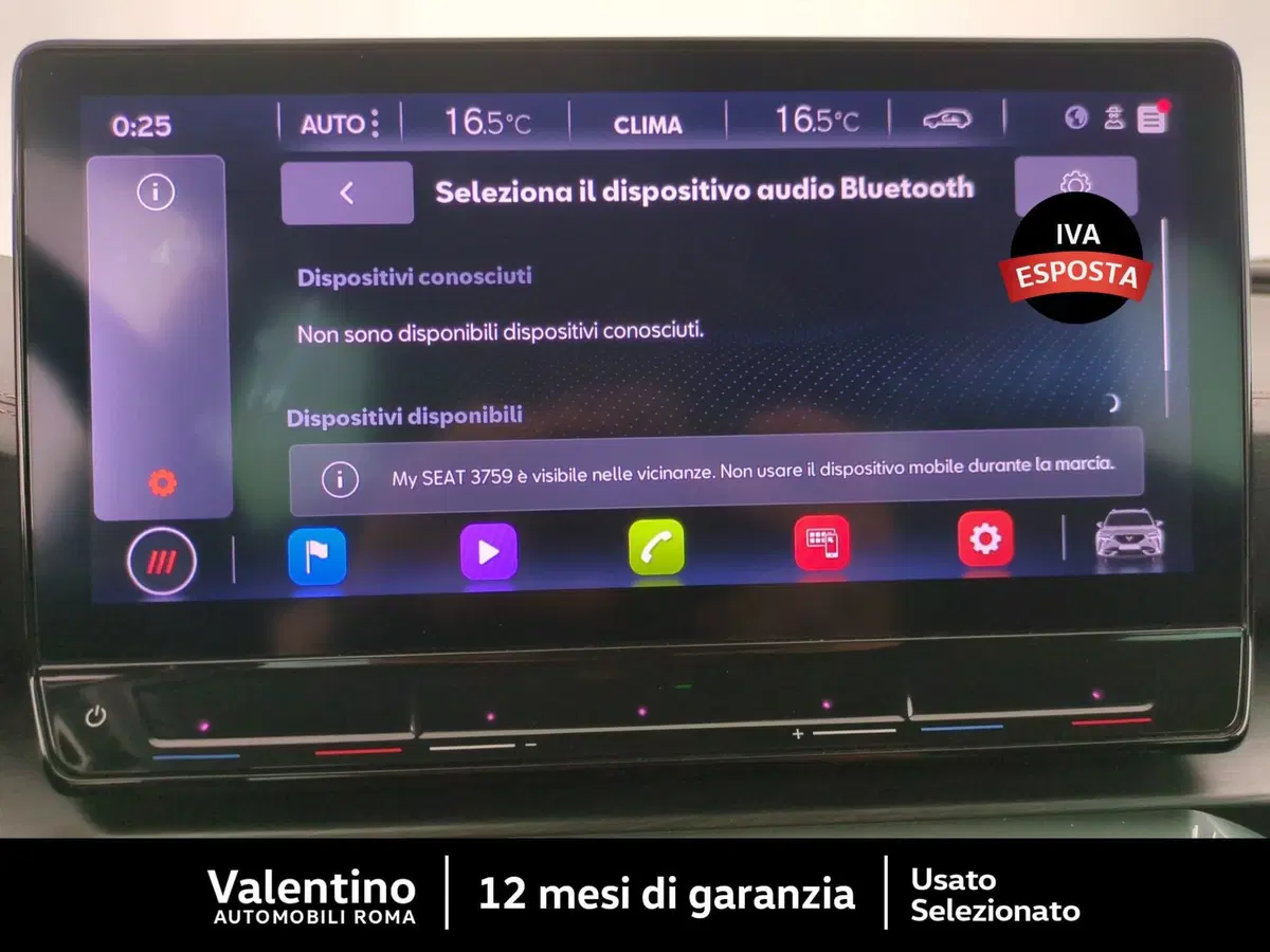 Cupra Formentor usata a Roma (18)