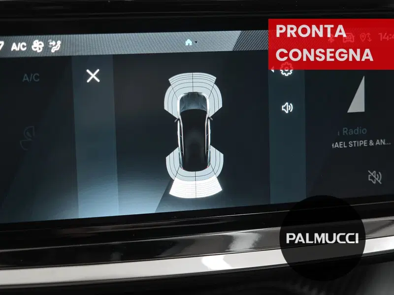 Peugeot 2008 usata a Prato (15)