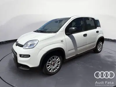 Fiat Panda 1.0 FireFly S&amp;S Hybrid del 2023 usata a Catania