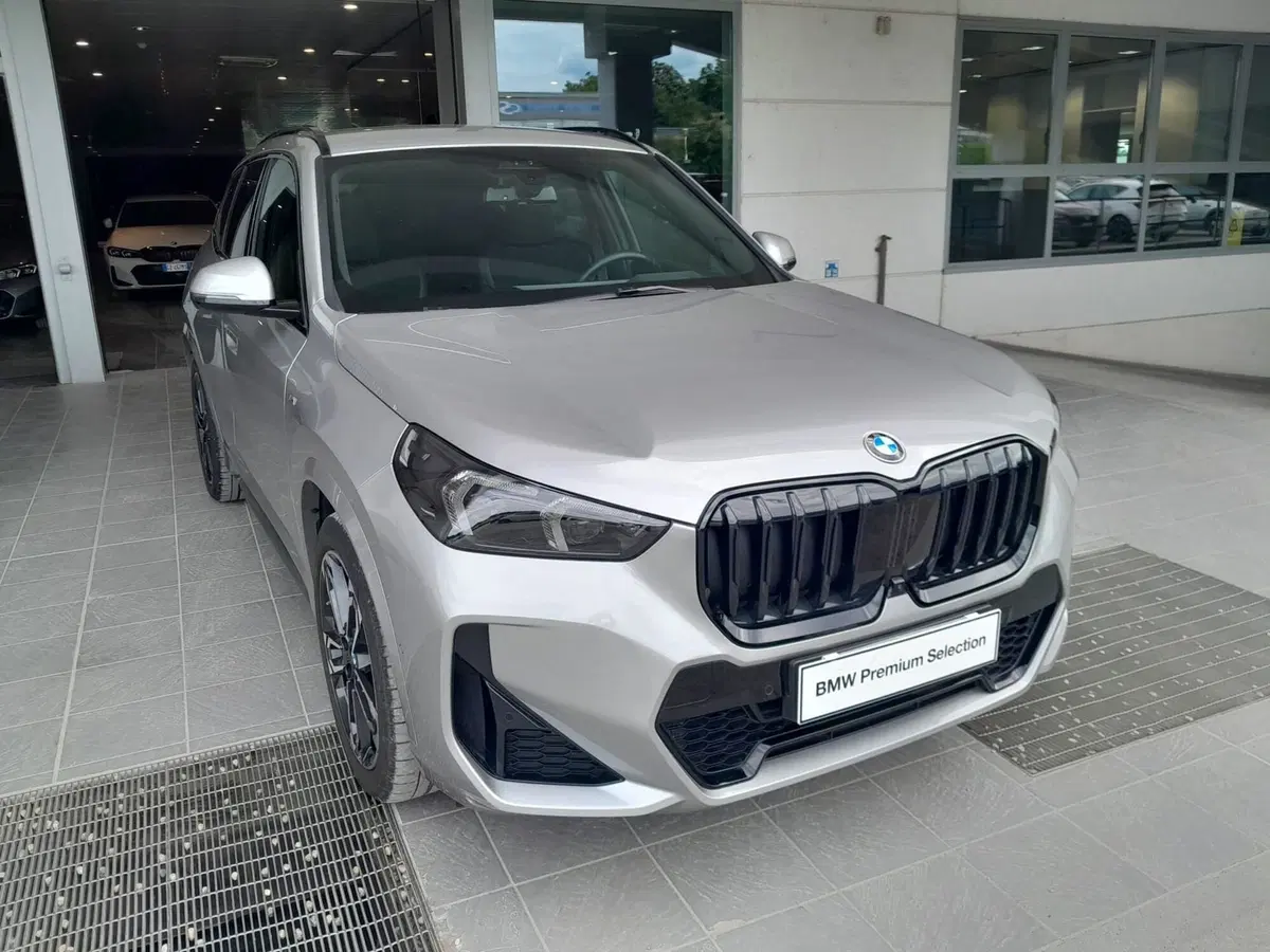 BMW X1 usata a Asti (4)