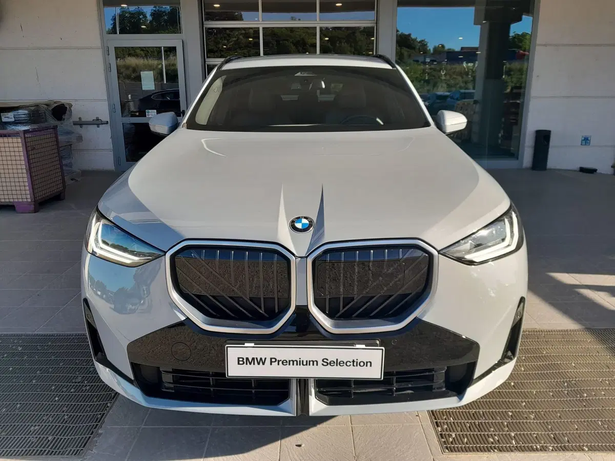 BMW X3 usata a Asti (3)