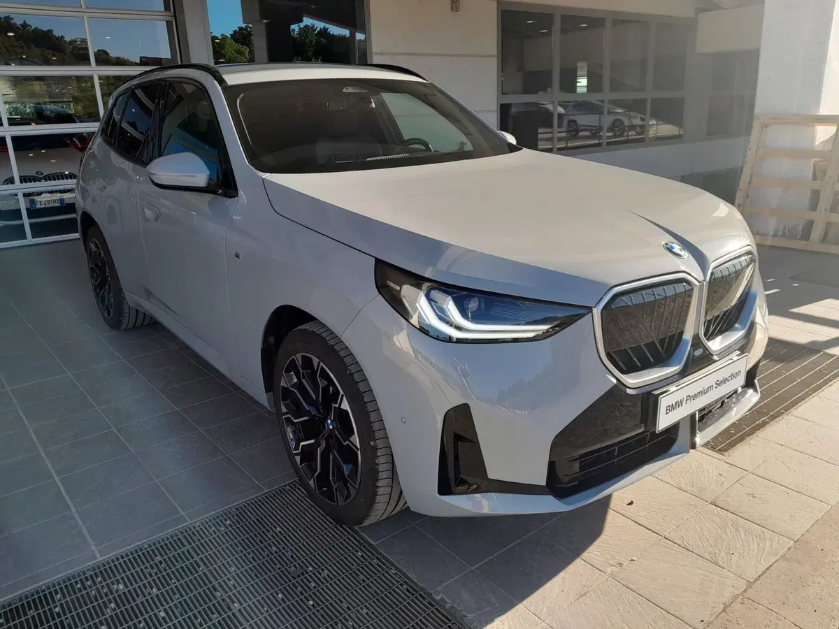 BMW X3 usata a Asti (4)