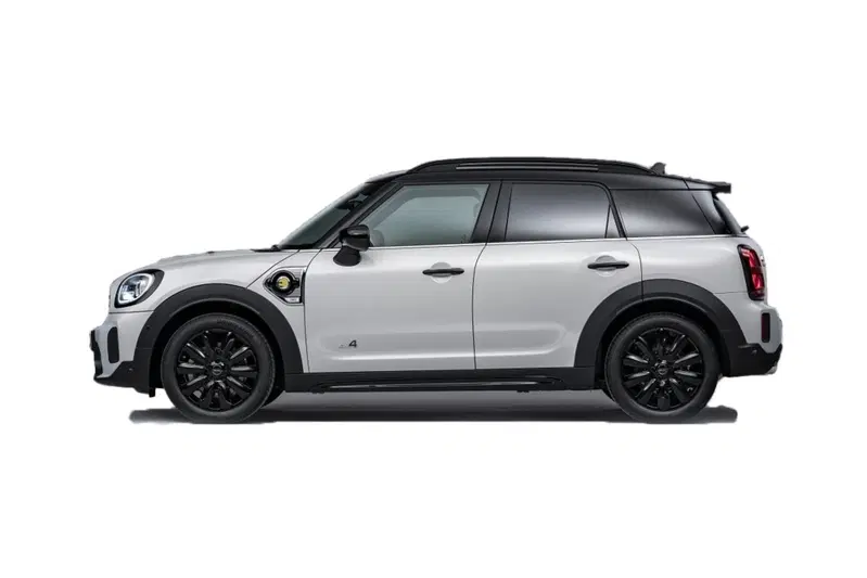 MINI Mini Countryman usata a Caserta (3)