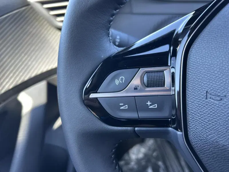 Peugeot 2008 usata a Cuneo (20)
