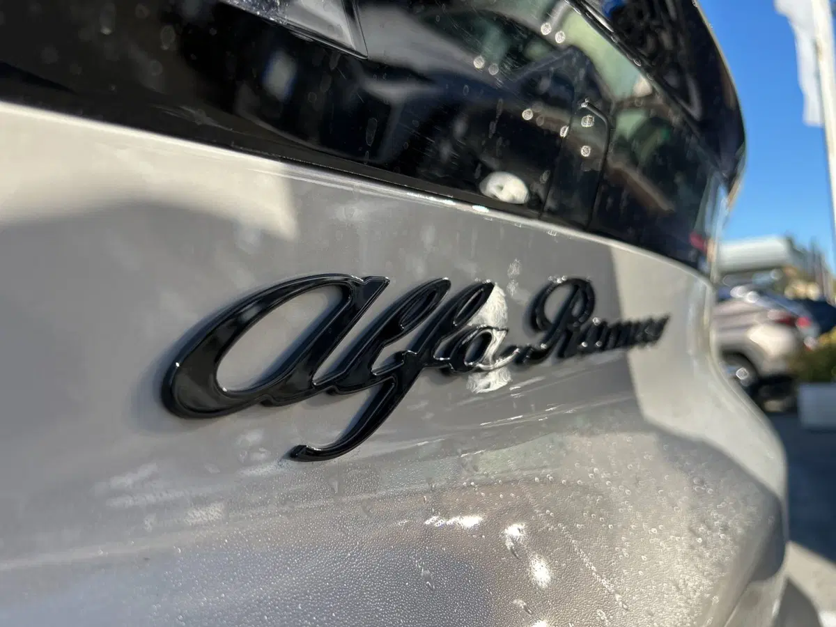 Alfa Romeo Junior usata a Latina (9)