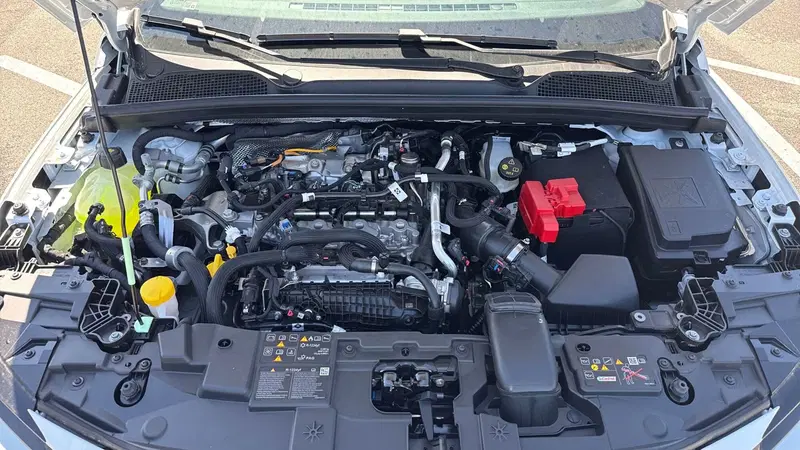Renault Clio nuova a Padova (18)