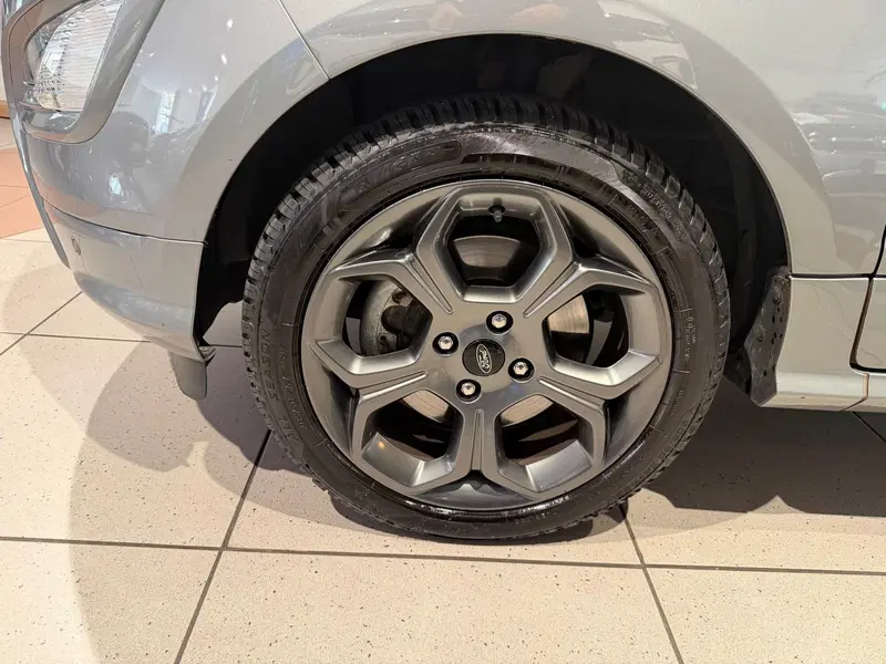 Ford EcoSport usata a Genova (16)