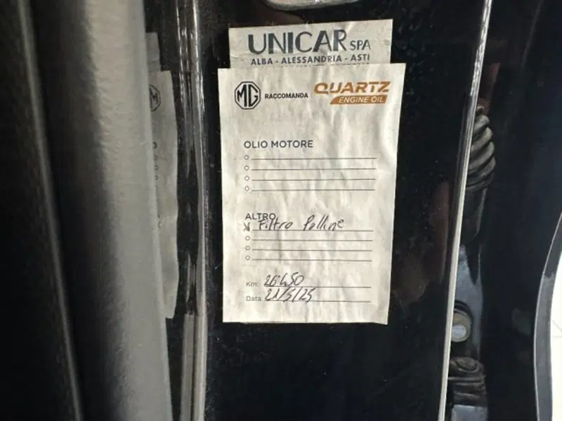 Mg ZS EV usata a Cuneo (18)
