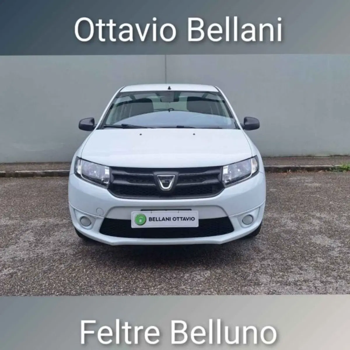 Dacia Sandero usata a Belluno (2)