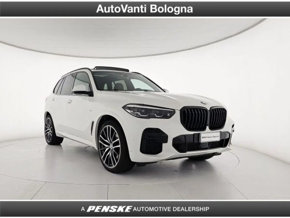 BMW X5 usata a Bologna (7)